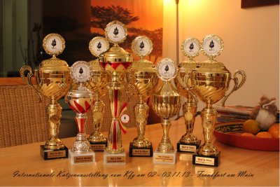 WCF Katzenausstellung Heppenheim